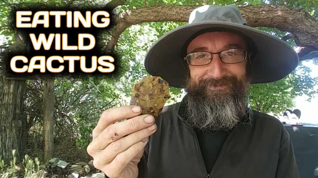 Eating Wild Cactus