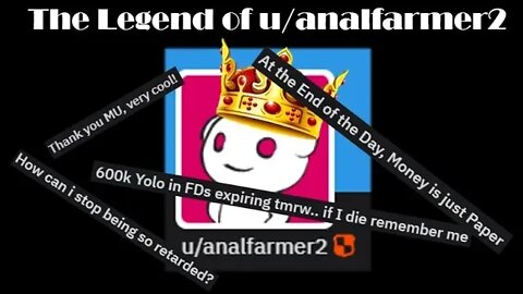 The Legend of analfarmer2: A Wall Street Bets Case Study