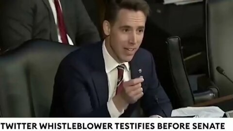 Josh Hawley Questions Whistleblower Ex-Twitter Employee Over Hunter Biden Story Suppression