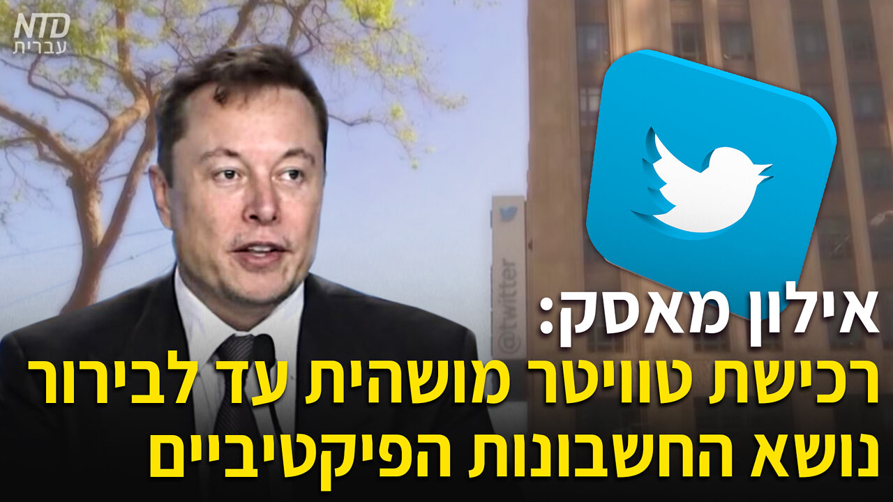 אילון מאסק: רכישת טוויטר מושהית עד לבירור נושא החשבונות הפיקטיביים