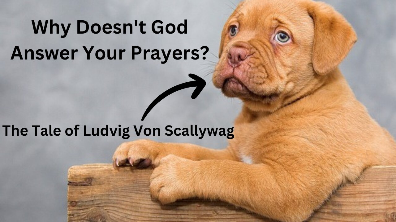 WHY DOES GOD NOT ANSWER YOUR PRAYERS? The Tale of Ludvig von Scallywag