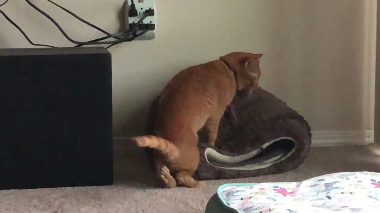It’s hard to see, but his sister is in there