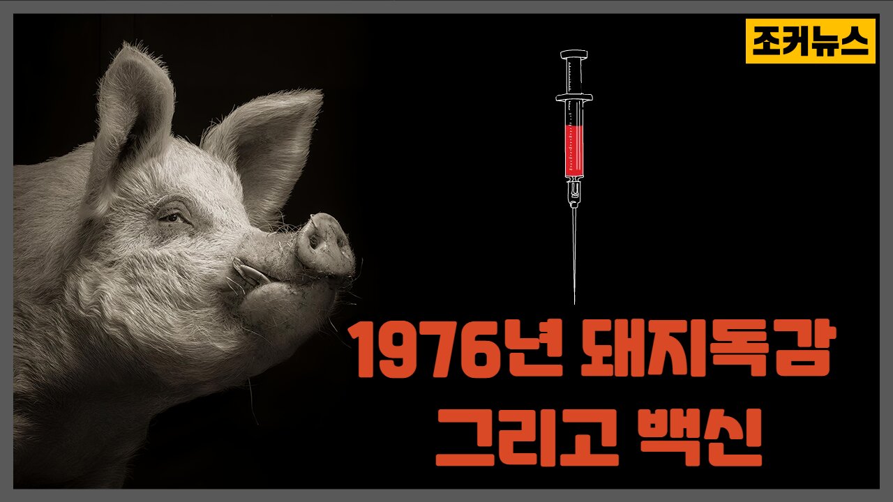 1976년 돼지독감 그리고 백신 swine flu -Joker News