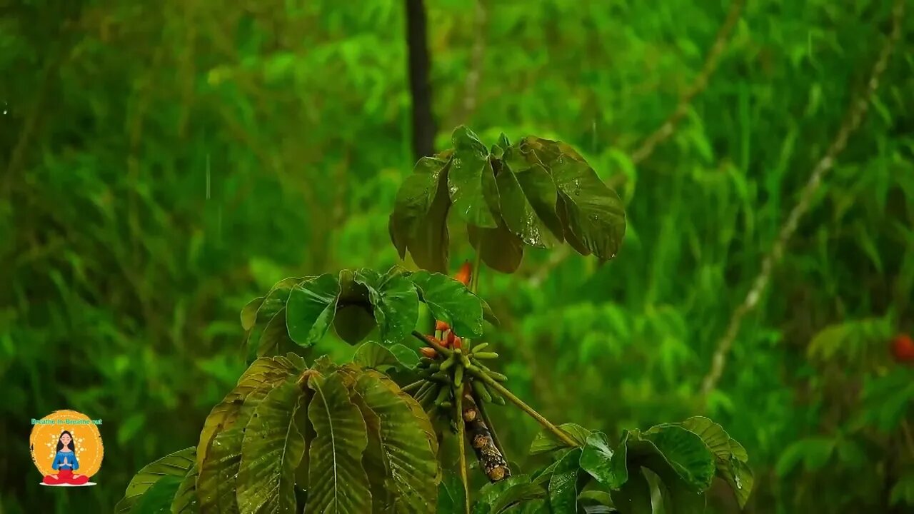 rainy day | piano music and soothing rain sounds | calm | relax | mental recovery | meditation