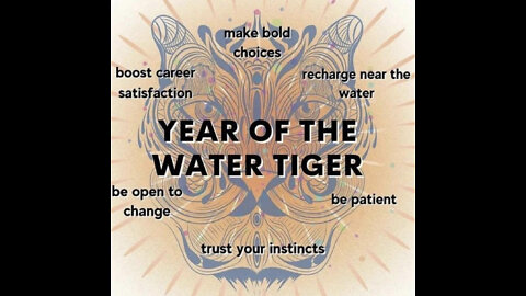 Year Of The Tiger Pt. 2