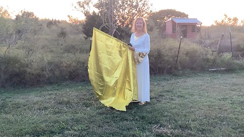 Healing on the Whipping Post