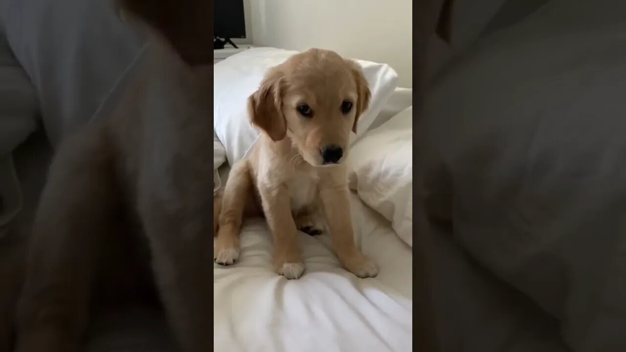 Help me I have Hiccups