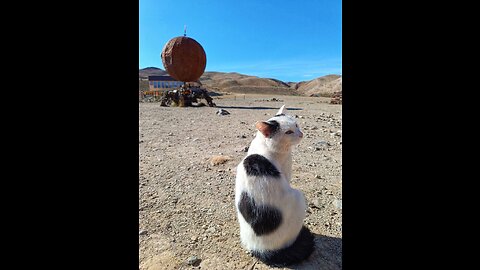 A região Kosh-Agach da República de Altai tem seu próprio Marte