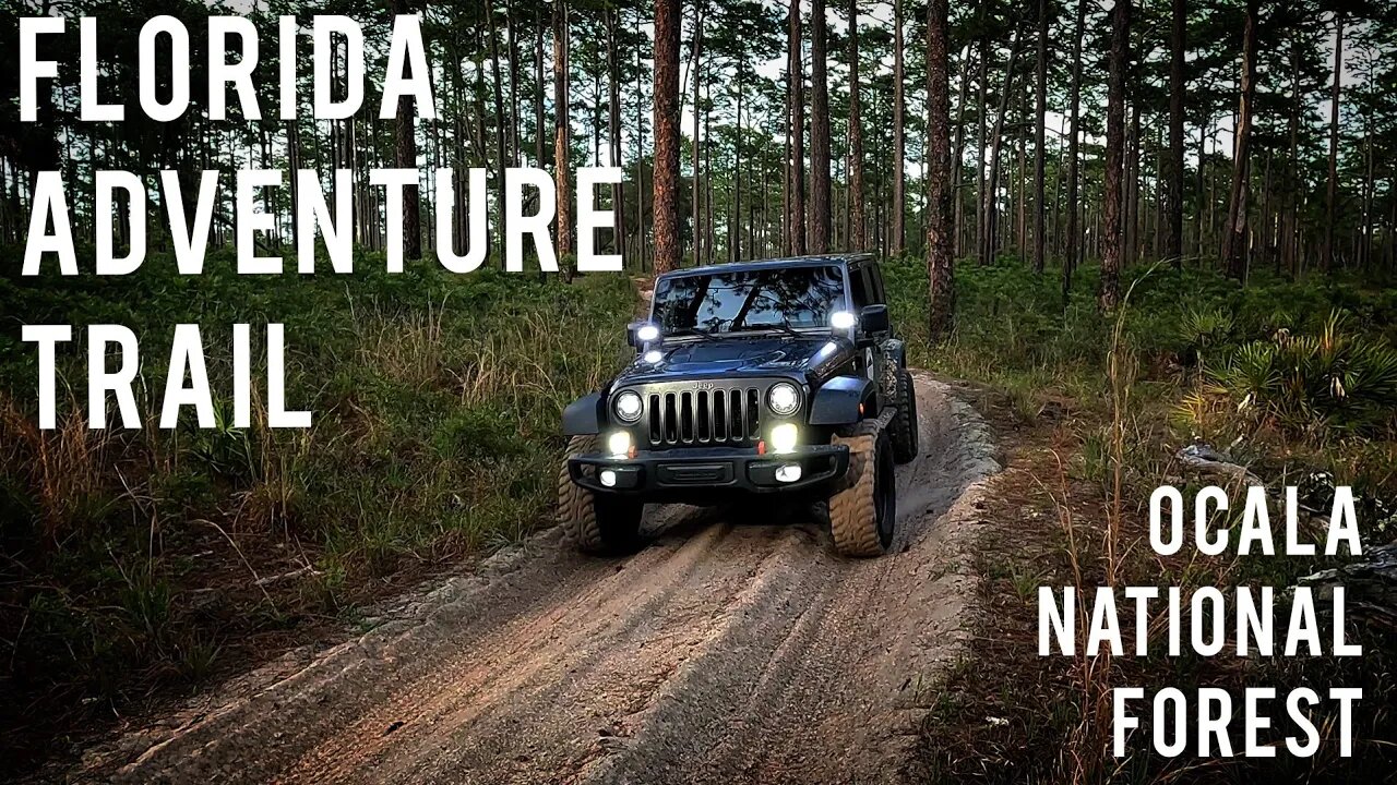 Florida Adventure Trail - Exploring Ocala National Forest Overland - Jeep Wrangler JK Rubicon Recon