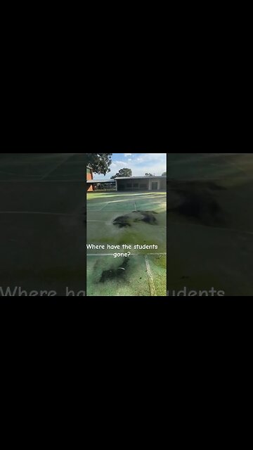 Where have the students gone? Part 2 #urbex #explore #australia #shorts