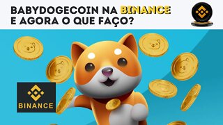 BabyDogecoin Listada na Binance e agora o que fazer?