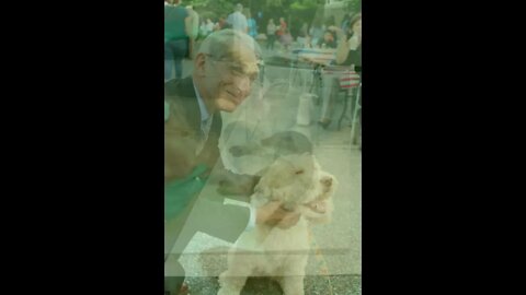 #AnthonyFauci under fire for recent revelation that he has approved the tax funded Dog Tortured