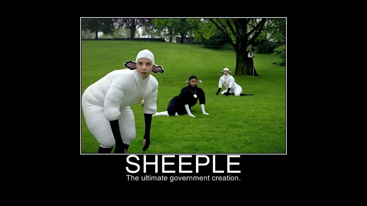 Life of sheeple. Two scenarios.