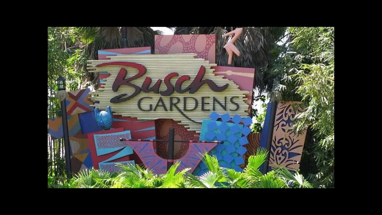 Busch Gardens LIVE! August 20, 2021