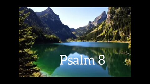 Psalm 8