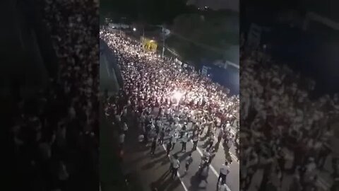 videos shorts do kawai