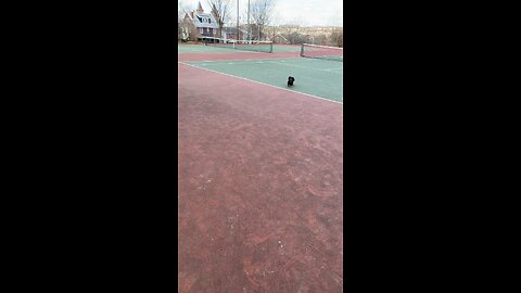 RUN !!!