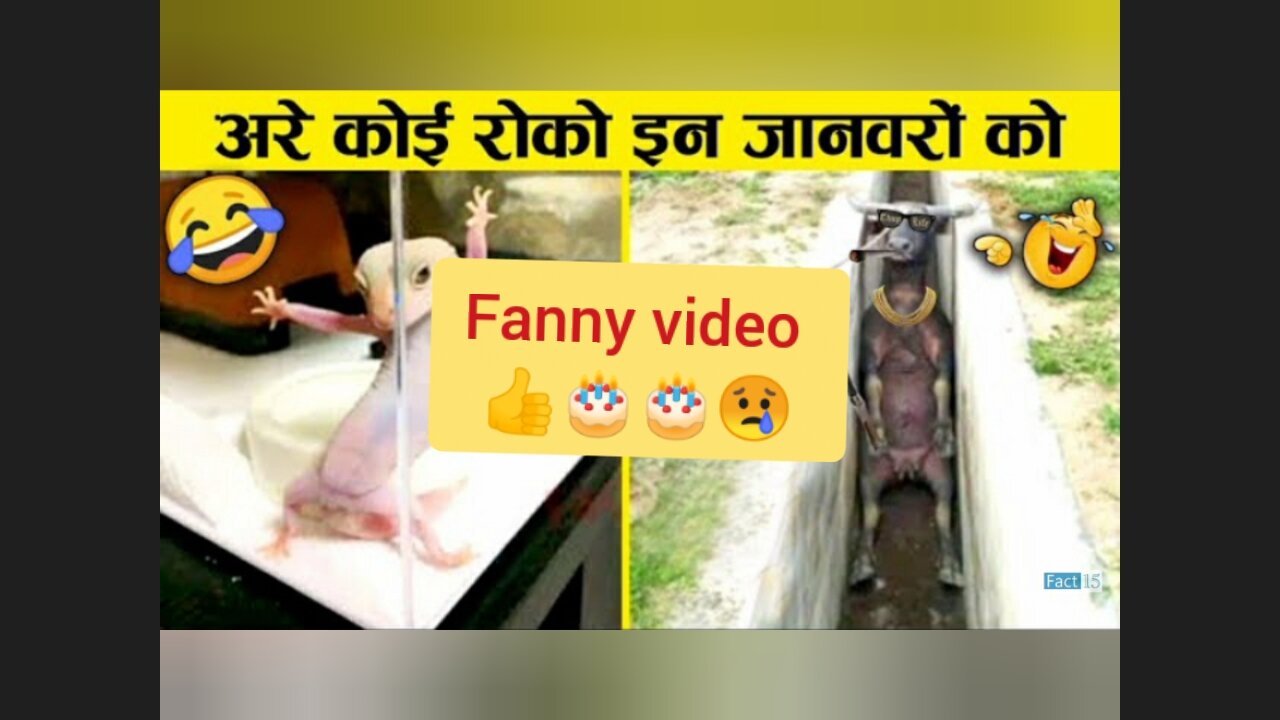 Animal Harkat Ke Janiy Fanny Free Video normal πβΊοΈππ 2022