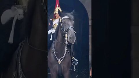 Step back from the kings life guard #horseguardsparade