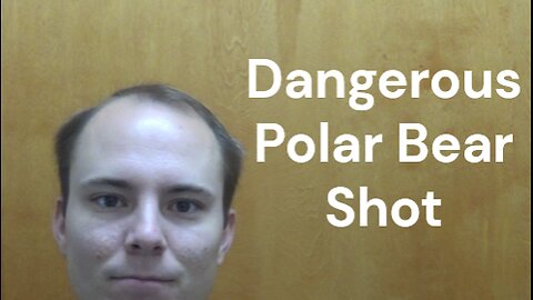 Dangerous Polar Bear Shot