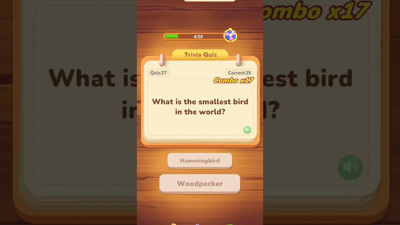 what is smallest bird of world