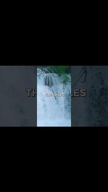 Listen to full meditations at Women's meditation network channel #meditation #sleep #shorts