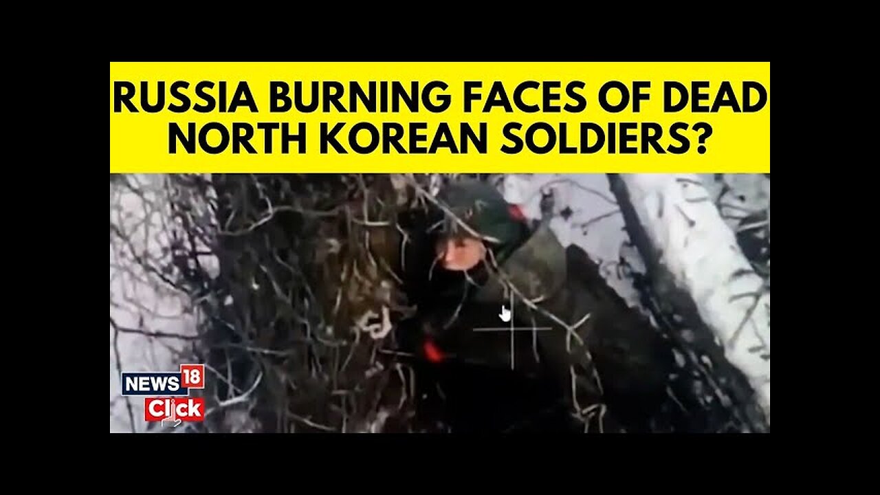 Zelenskyy Claims Russia Burning Faces Of Dead North Korean Soldiers To Conceal Identity | N18G