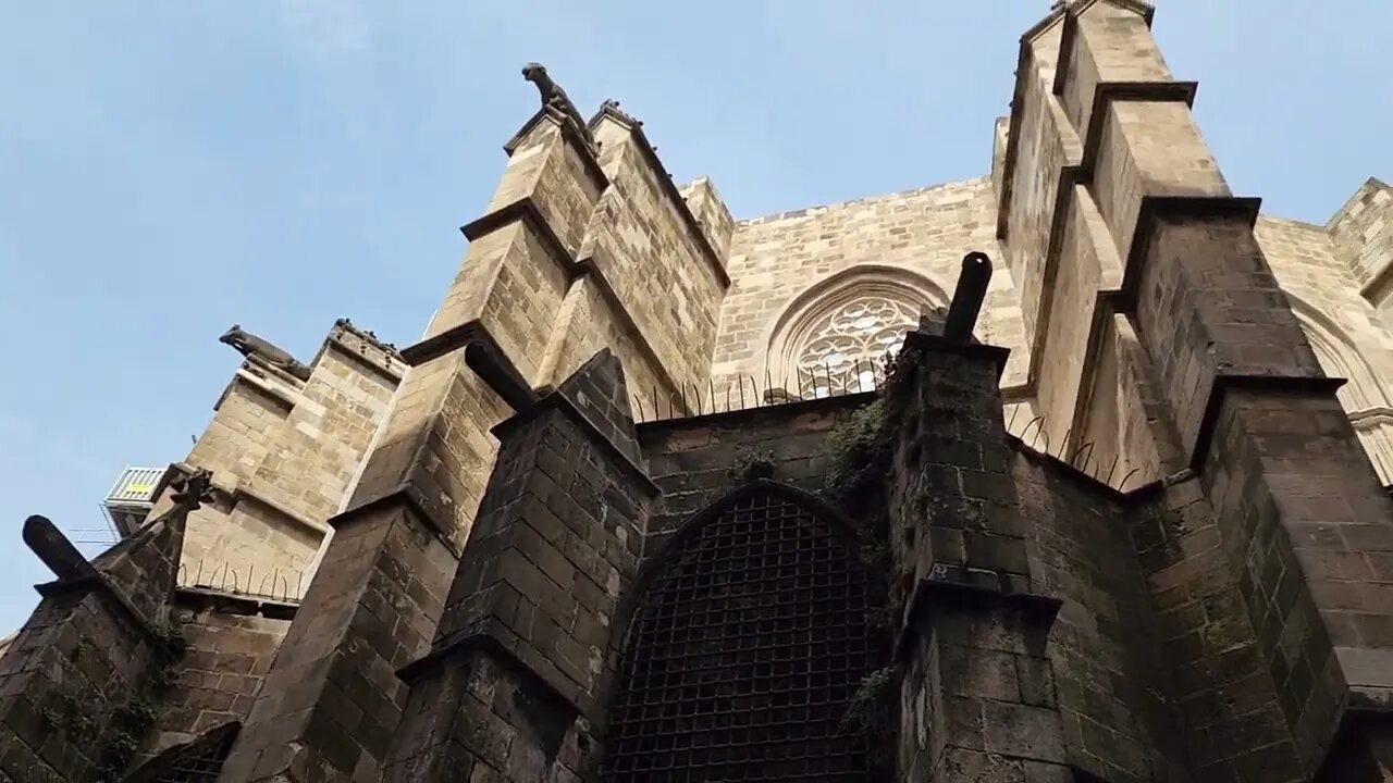 #Paseando ▫️ Tour en Barcelona 📌 Catedral de Barcelona 🌍 #Barcelona 🇪🇸 #España #Parte13