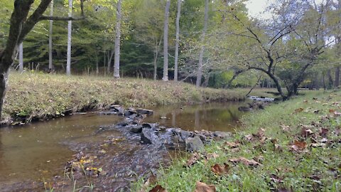 Peaceful Waters - NC/VA