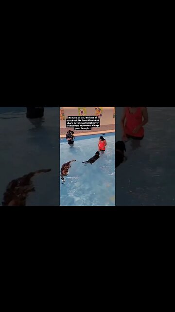 All Winners Have Lost..