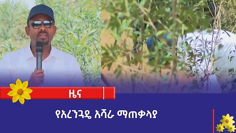 የአረንጓዴ አሻራ ማጠቃላያ