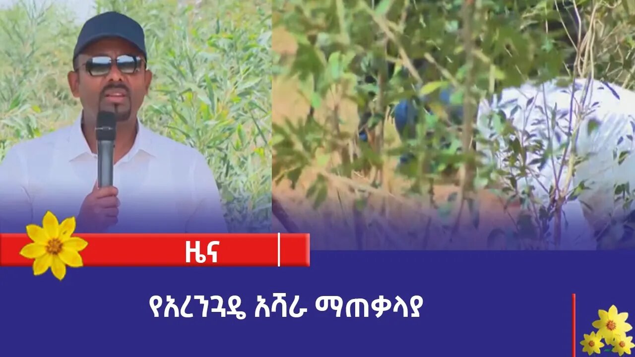 የአረንጓዴ አሻራ ማጠቃላያ