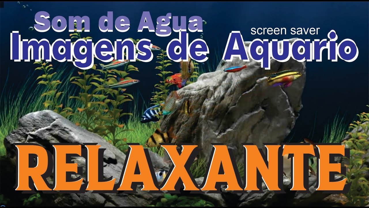 Relaxing images of fish in aquarium, sounds of water screensaver to relax and soothe meditate