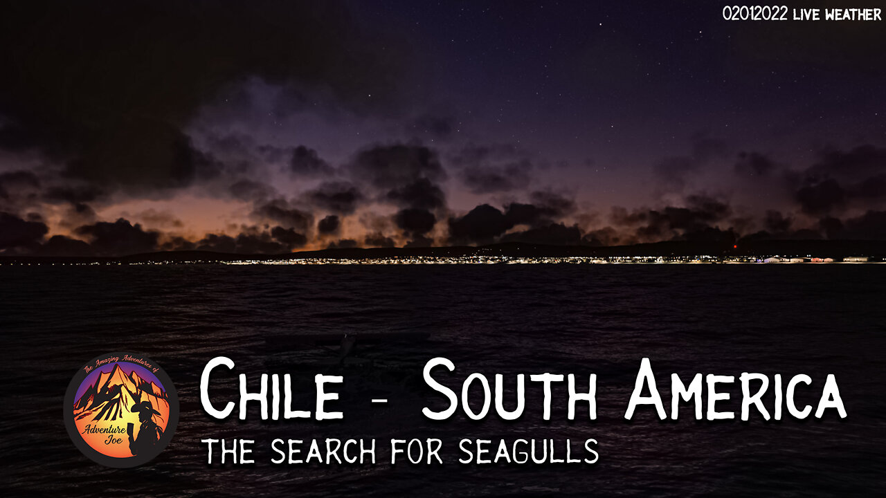 Southern Chile Sunset and the Search for Seagulls