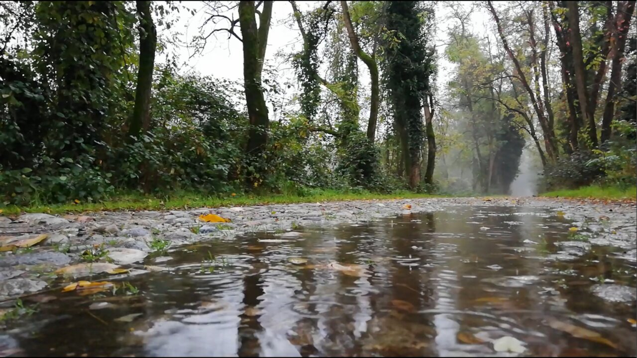 Soothing Rainfall