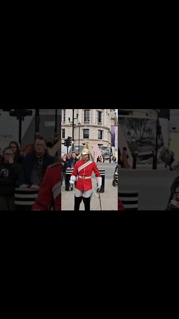 The head nod #horseguardsparade