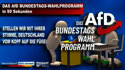 DAS AfD BUNDESTAGS-WAHLPROGRAMM in 99 Sekunden