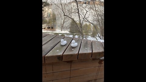 A snowy day in Seoul of south Korea