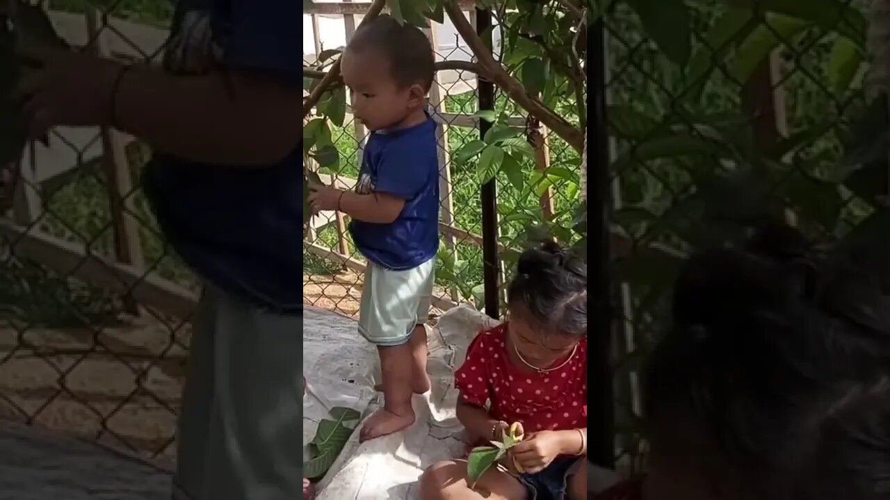 2 sisters playing together