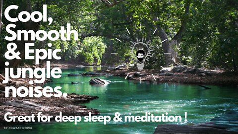 Epic Jungle sounds for deep sleep !
