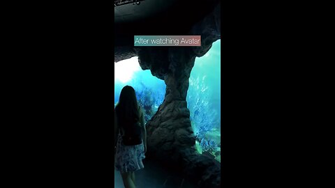 Avatar Museum #avatar #travel #pandora #na#views #mustdo #mustsee #explore #adventure #thewayofwater