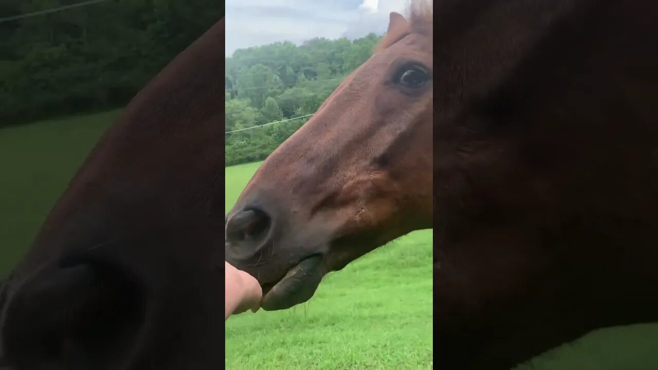 Surprise!