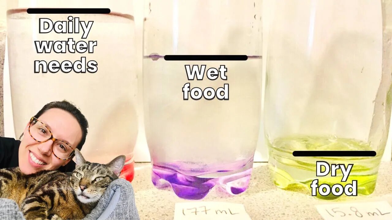 Is my cat drinking enough water?