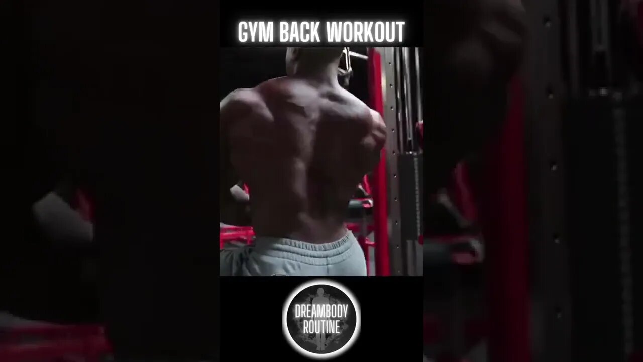 Gym Back Workout !