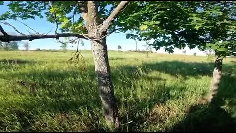 Ukrainian defenders attack Russian tank with RPG’s