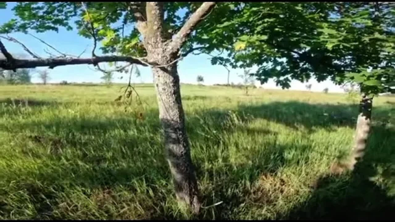 Ukrainian defenders attack Russian tank with RPG’s