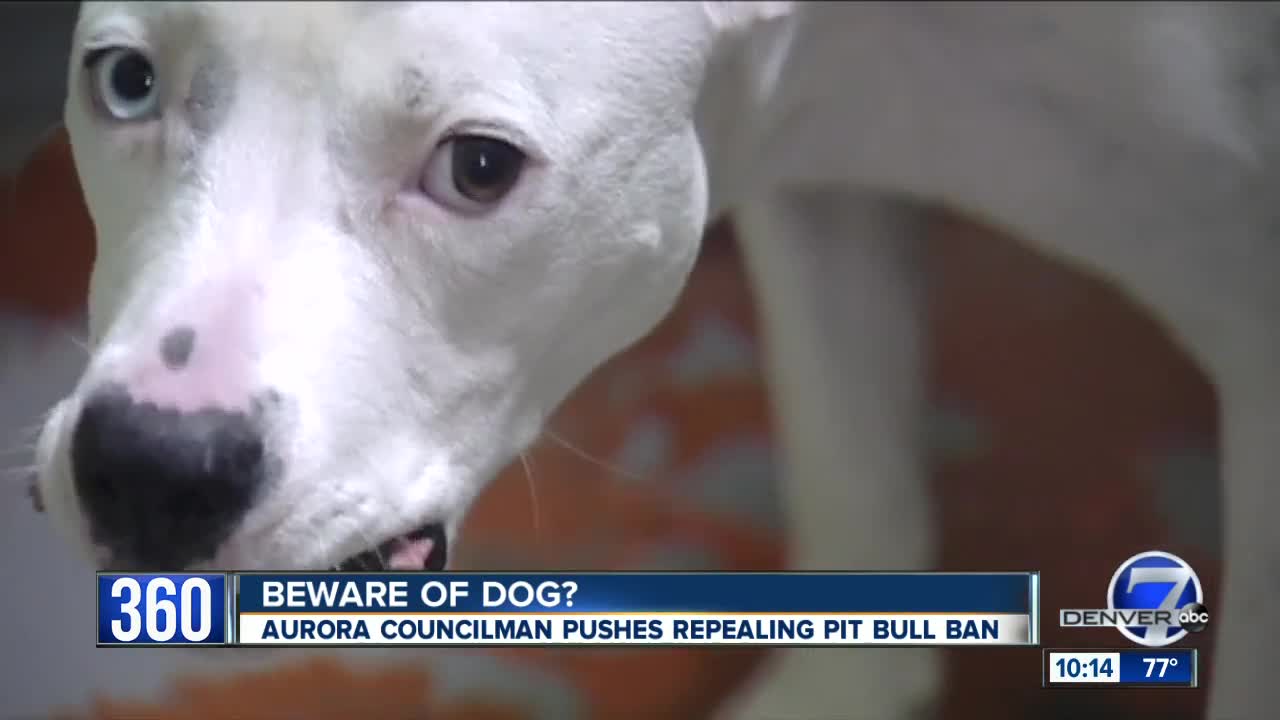 Aurora councilman wants to eliminate the city's pit bull ban, but not everyone agrees