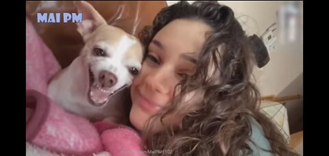 🤣Funny Dog Videos 2022🤣 🐶 It's time to LAUGH with Dog's life