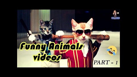 Funniest Dogs and Cats Videos Legend Bro Laughing 2022.