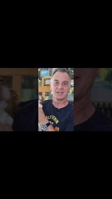 Meet My New Studio Assistant 🐶